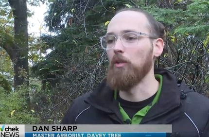 Dan Sharp Chek