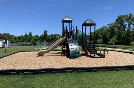 IMG 3455