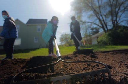Raking