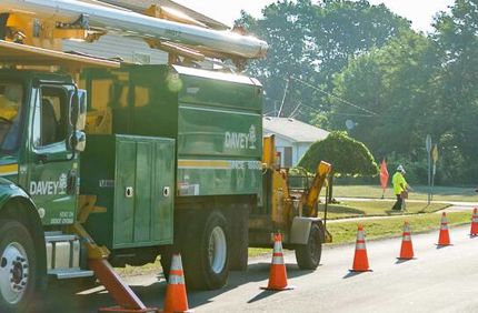 Utility Line Clearance Banner