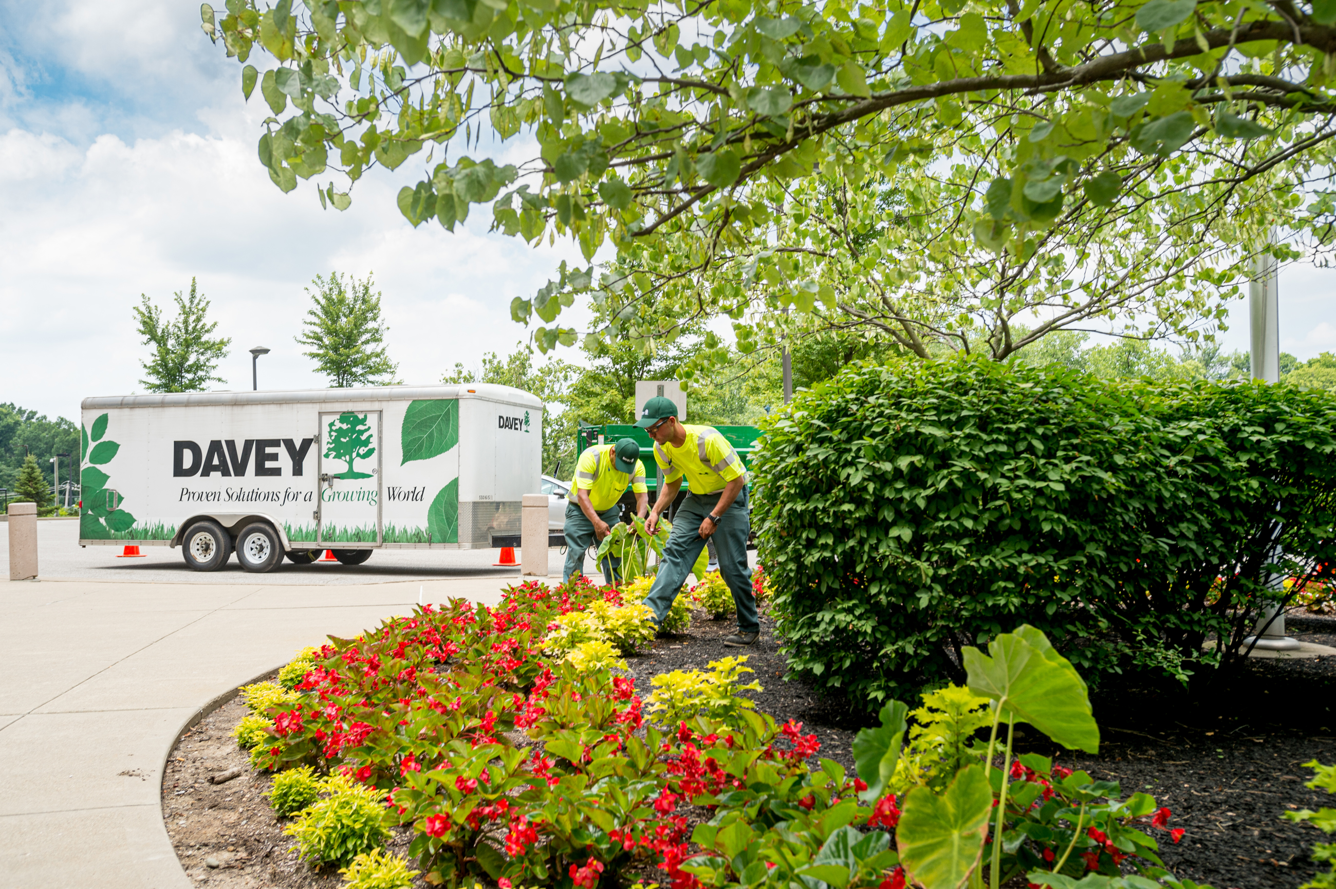 Commercial Landscape Design