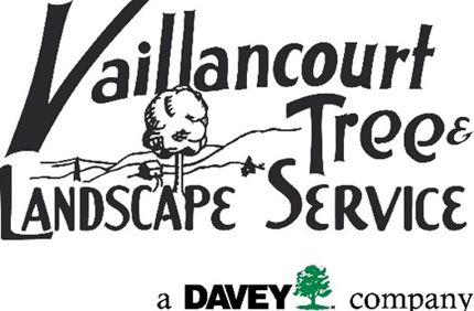 Vaillancourt Logo