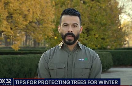 Auxilio Tovar Winter Prep