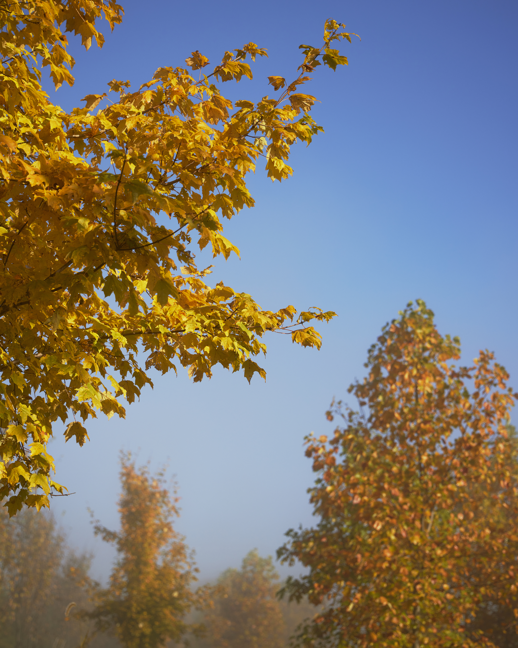 028A0960 5307X6634 A75e9d1