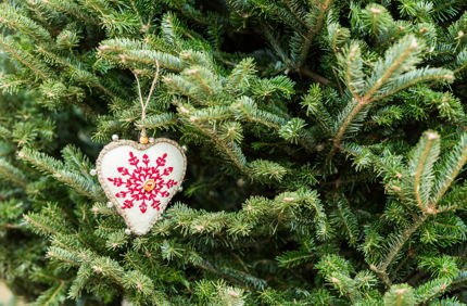 Fresh And Green Christmas Tree Preserve Christmas Tree Davey Tree