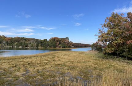 Wetlands And Woodlands