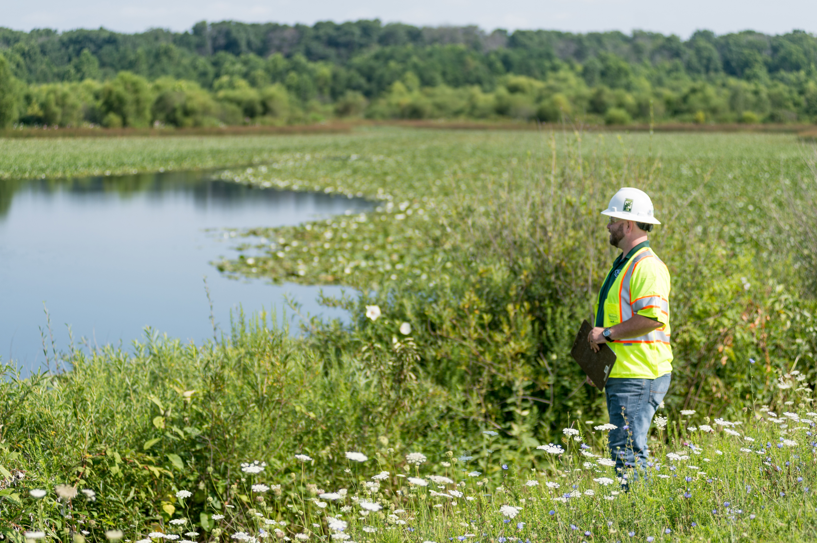 Mitigation Wetlands