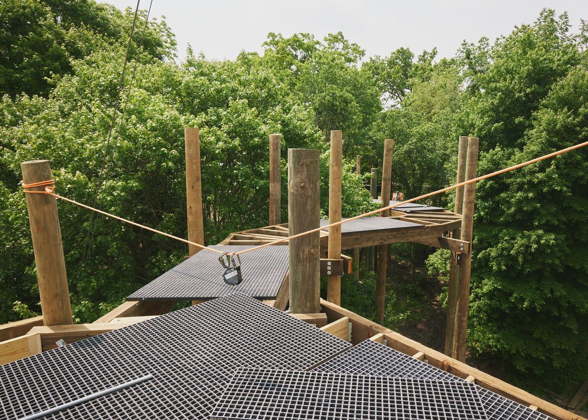 SEED Campus Canopy Walk under construction