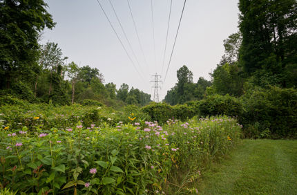Dsc 4788