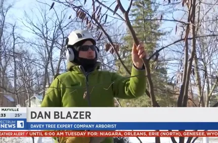 Blazervideoframe