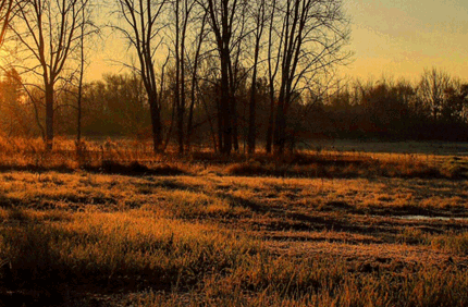 Ape Banner 1440X500