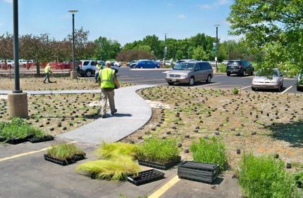 Green Infrastructure Installation 2