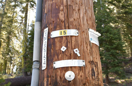 Utility Css Florida Pge Banner 1440X500