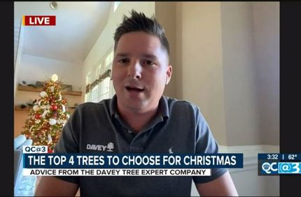 Mattbetz Christmastrees