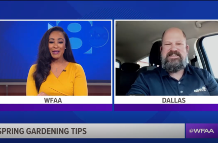 Wfaa Brian