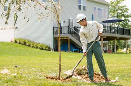 Tree Planting 600