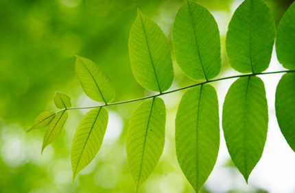 Utility Css Pge Banner 1440X500