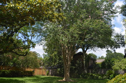DSC 0029