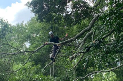 Storm Damage