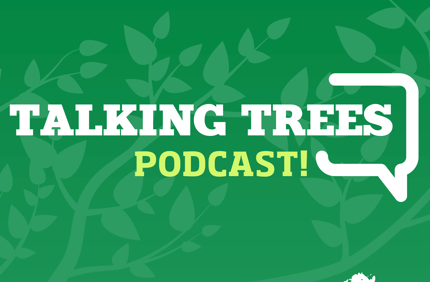01 2021 Talking Trees Podcast Cover