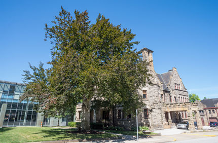 DSC 8549