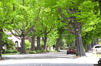 Envrionmental Project Profile San Fran Banner 1440X500
