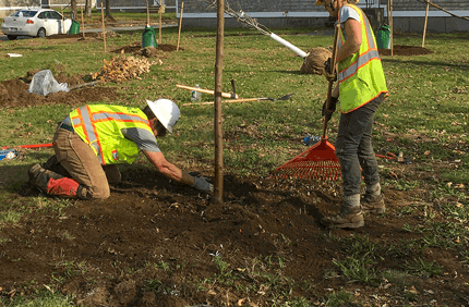 Environmental Project Profiles Quincy Ma Banner 1440X500