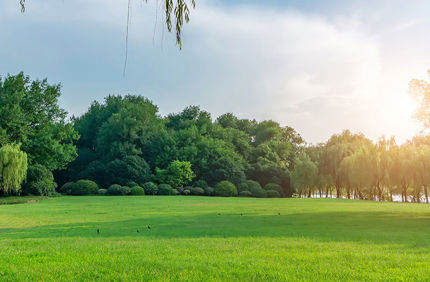 Adobestock 308225895