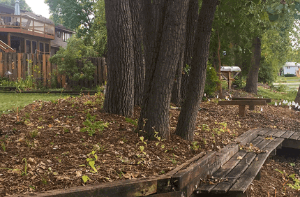 Environmental Project Profiles Shoreview Mn Banner 1440X500