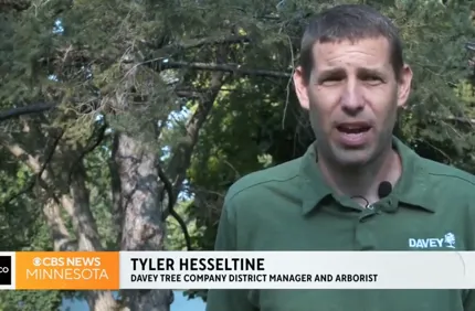 Tylerhesseltinewcco
