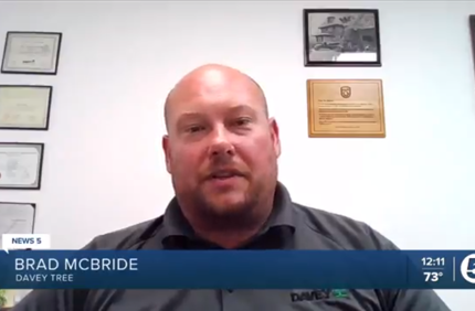 Brad Mcbride (1)