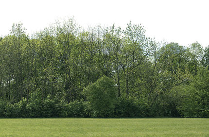 Adobestock 158483853