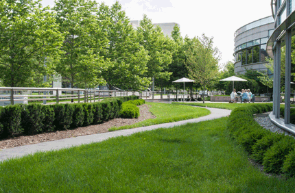 Tree Campus Healthcare