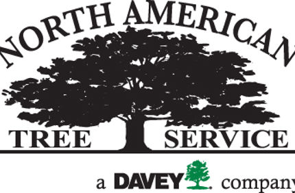 Nats Davey Logo