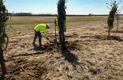 Planting