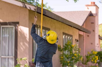 pole pruning