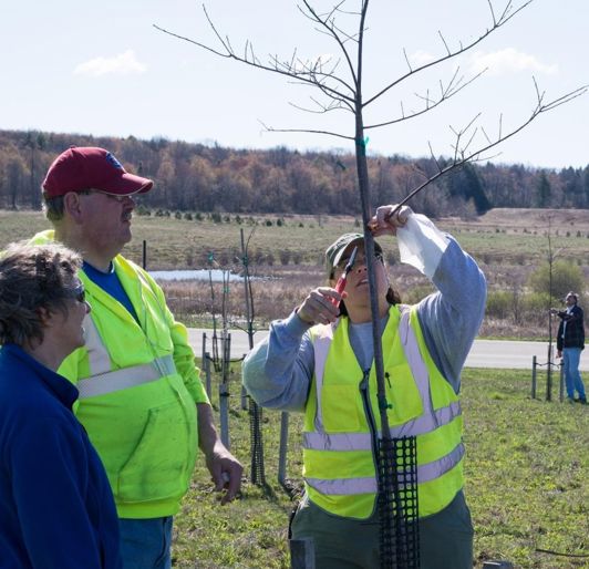 Employee at Flight 93 Memorial
