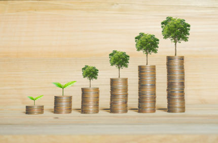 Money Tree