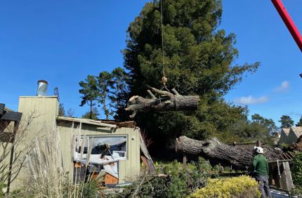 East Bay N. Calif Storms 3