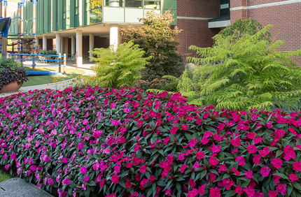 Akronchildrenshosp Banner 1440X500