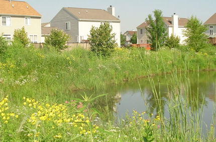 Pond Restoration 600X600