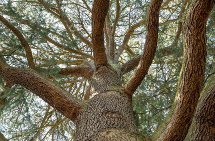 Kaibara Park Banner 1440X500
