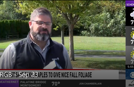 Cbs6
