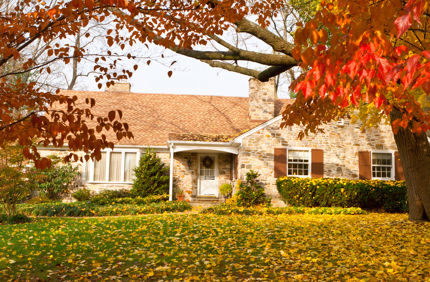 Overhanging Branches