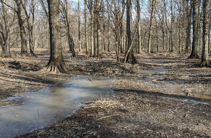 Winter Delineation 600X600