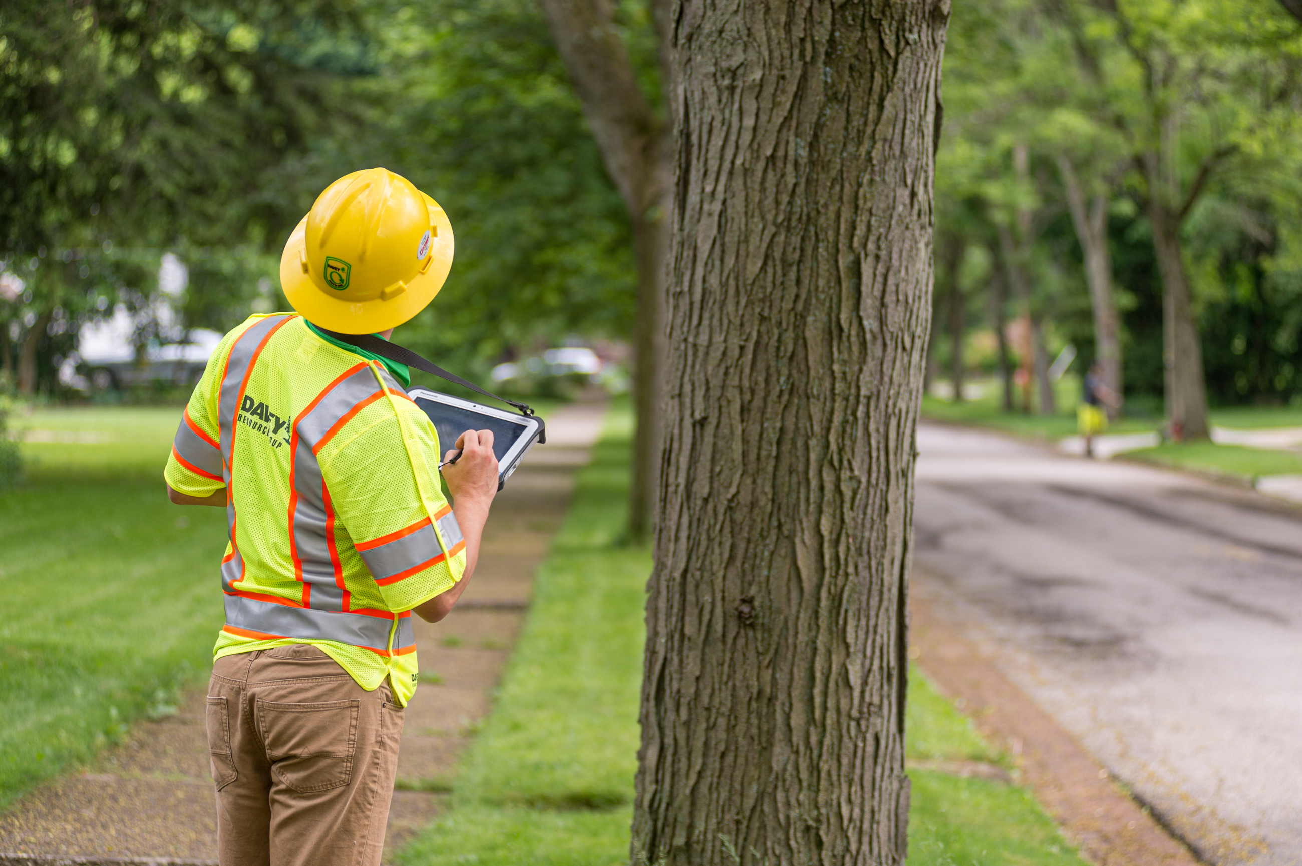 Tree Inventory Management