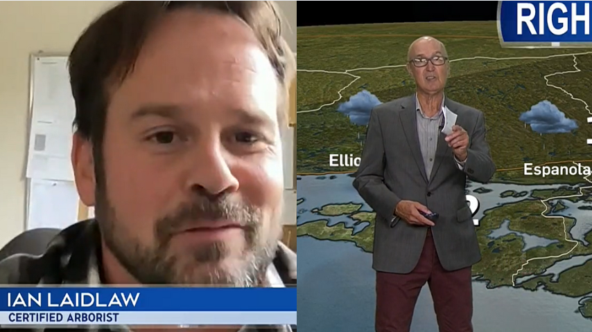 Screenshot 2025 10 15 133823