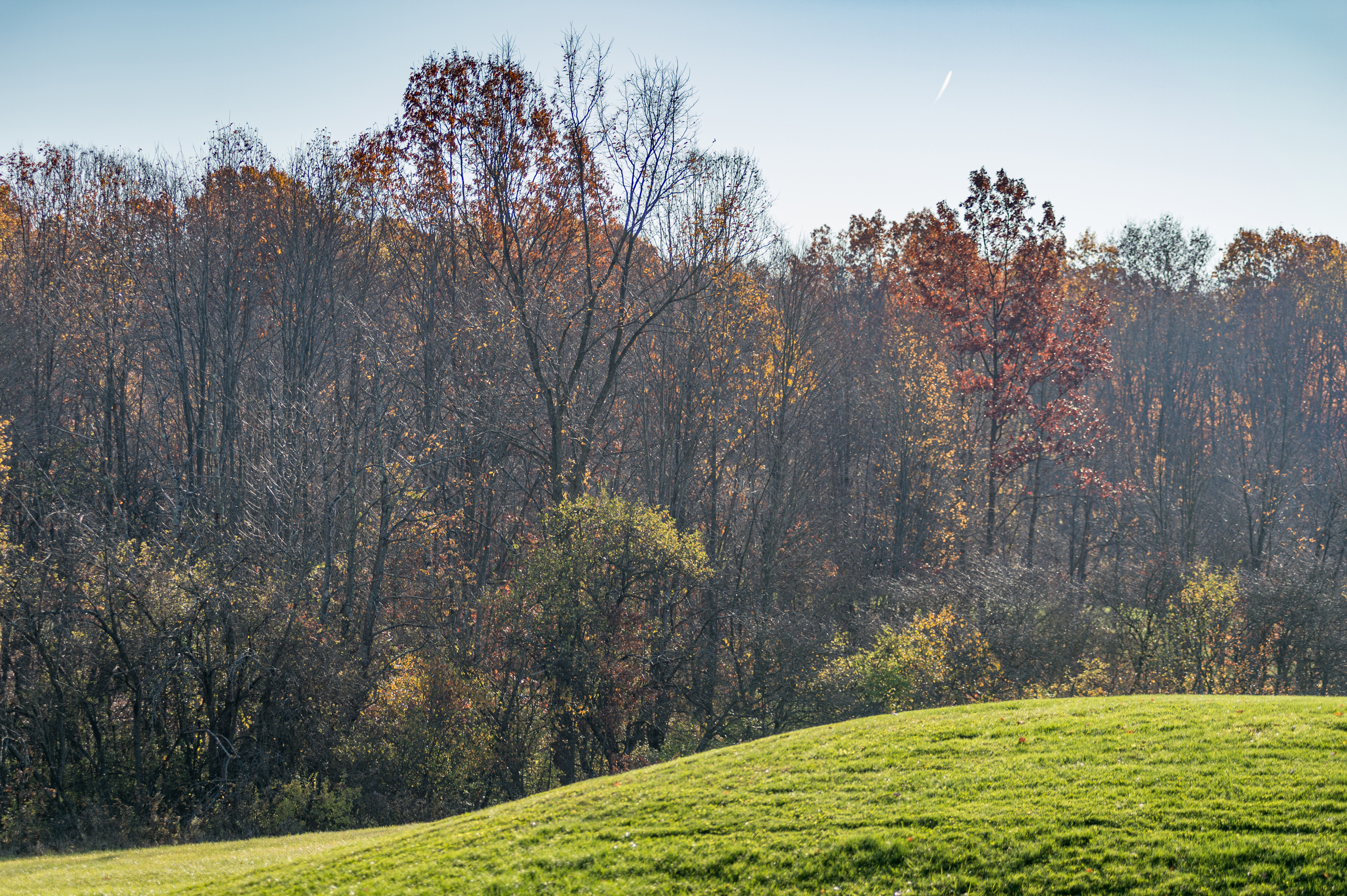 DSC 0216 4928X3280 E35ca0b (1)