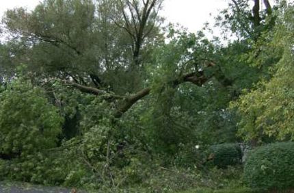 Storm20damage Il0720 69 Jpg