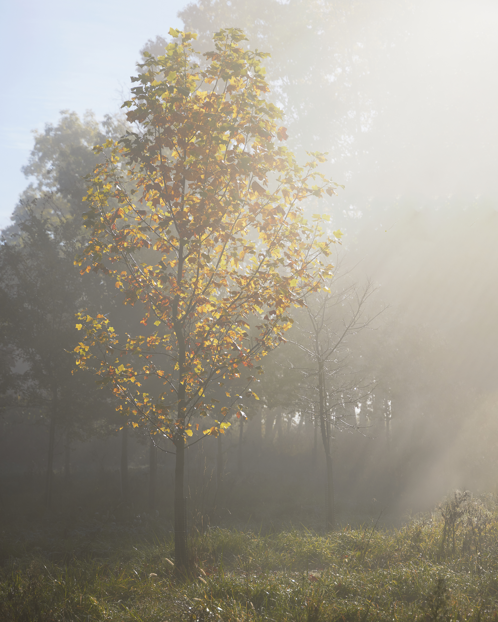 028A0968 4936X6170 428Be4f